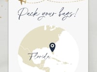 Animated Boarding Pass Save the Date Video Template - Navy