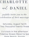 Animated Boarding Pass Wedding Invitation Video Template - Navy