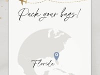 Dusty Blue Boarding Pass Save the Date Video Template