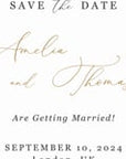 ANTEA Save the Date Video Template - Black & Gold