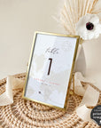 Sofia | World Map Table numbers Wedding Template