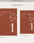 HAZEL Terracotta Table Numbers Wedding Printable