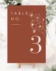 HAZEL Terracotta Table Numbers Wedding Printable