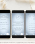 ANITA Wedding Invitation Video Template - Dusty Blue & Silver