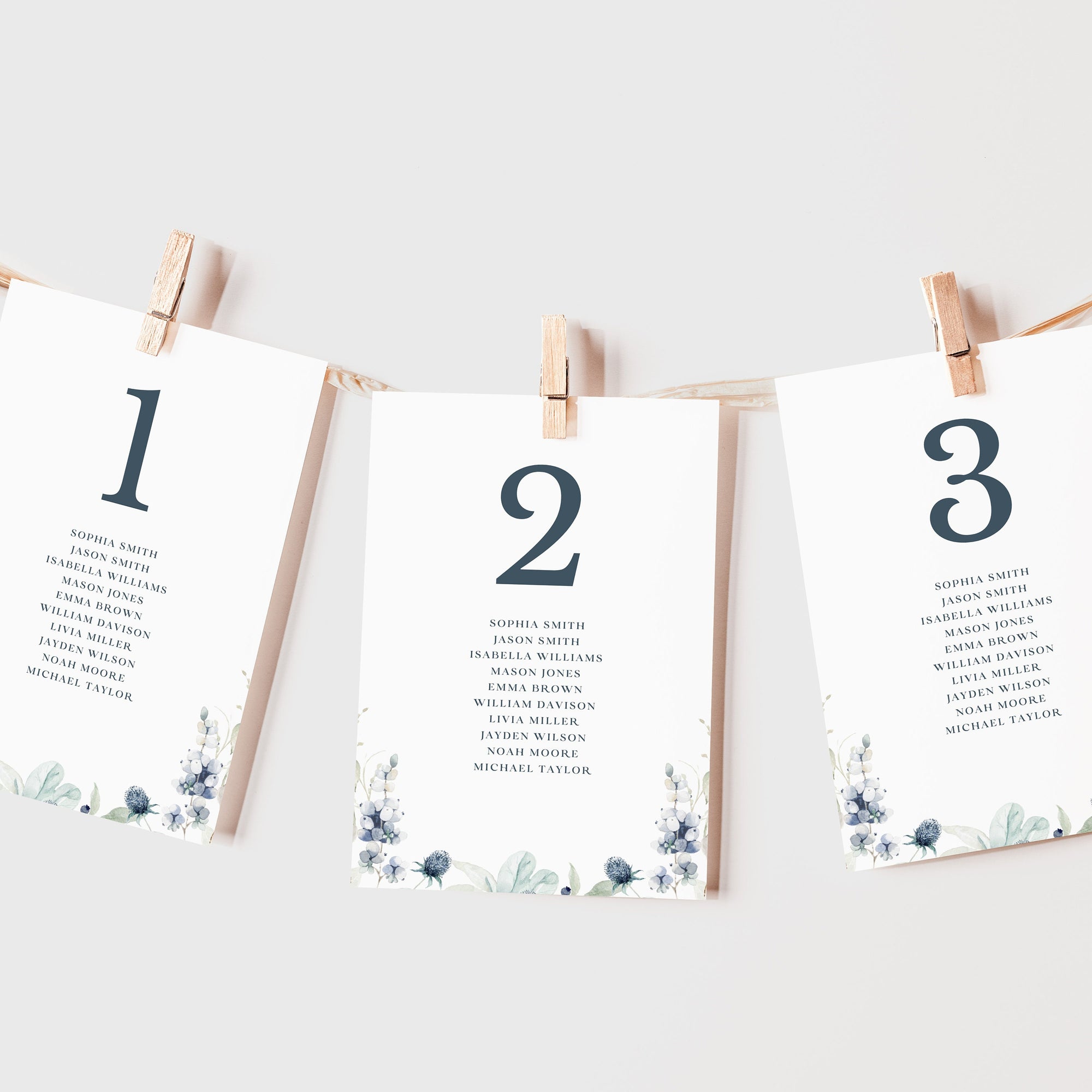 BIANCA Winter Wedding Seating Chart Card Template