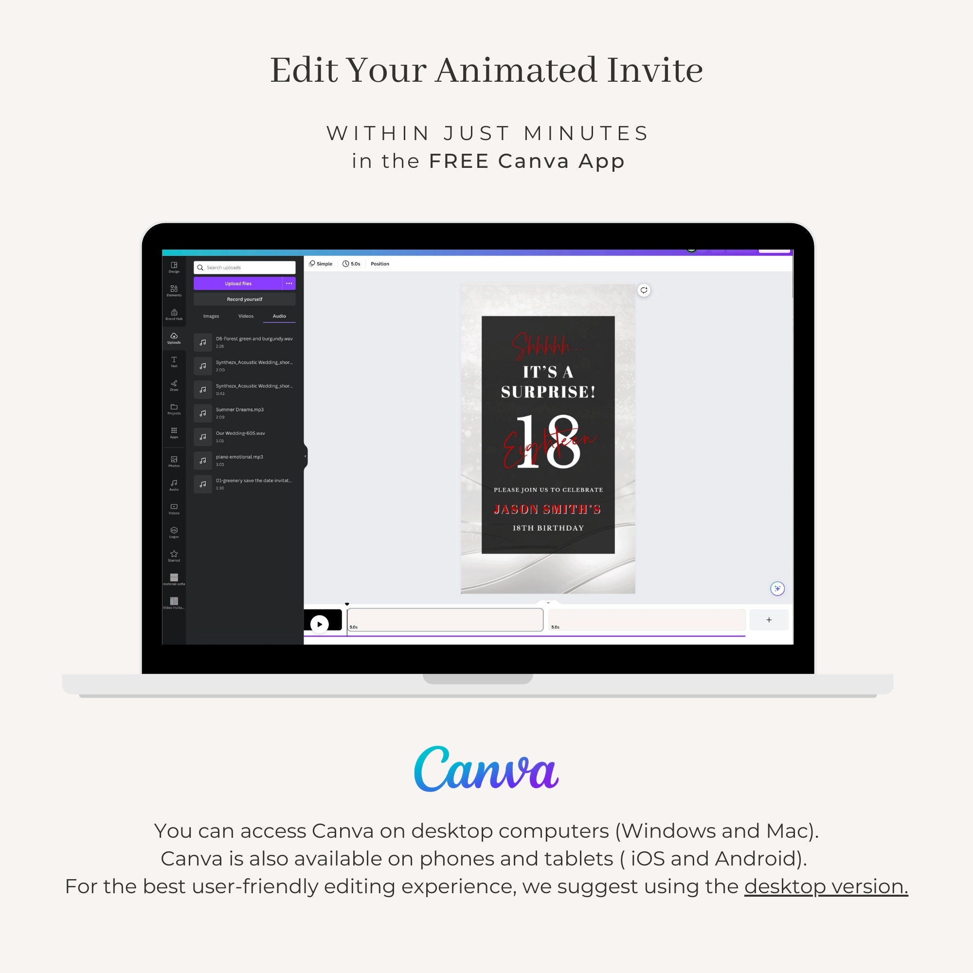 VIBE Birthday Invitation Video Silver