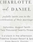 Rose Gold Boarding Pass Wedding Invitation Video Template