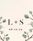 Luisa | Eucalyptus Animated Save the Date Video