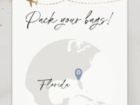 Dusty Blue Boarding Pass Wedding Invitation Video Template