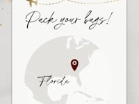 Red Boarding Pass Wedding Invitation Video Template