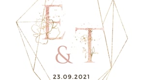 Aurora | Rose Gold Wedding Invitation Video