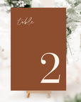 SIENNA Terracotta Table Numbers Wedding Printable