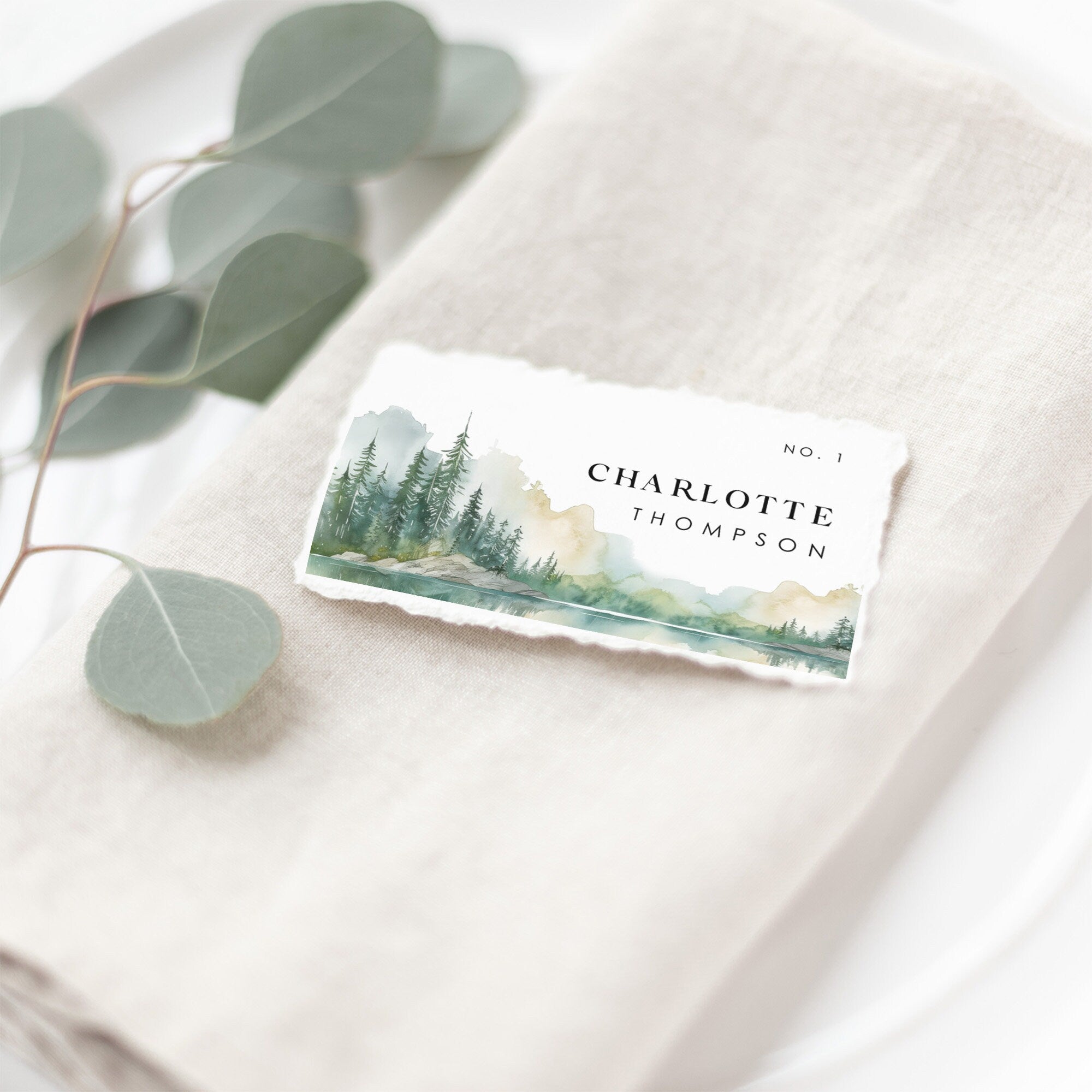 ARNA Mountain Wedding Place Cards with Meal Choice